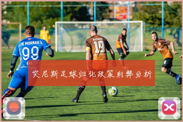 突尼斯足球归化政策利弊分析