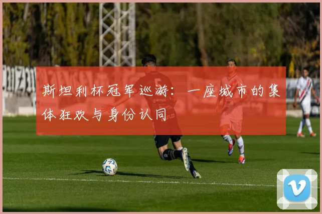 斯坦利杯冠军巡游：一座城市的集体狂欢与身份认同