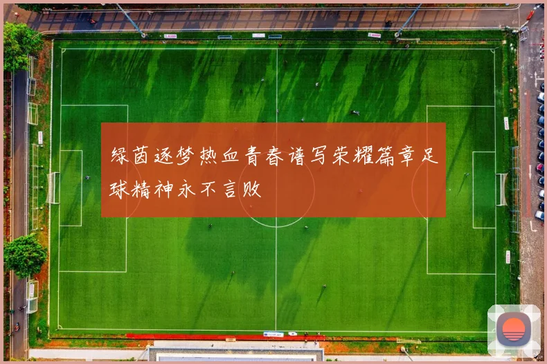 绿茵逐梦热血青春谱写荣耀篇章足球精神永不言败