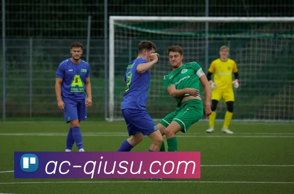 球速体育服务体系